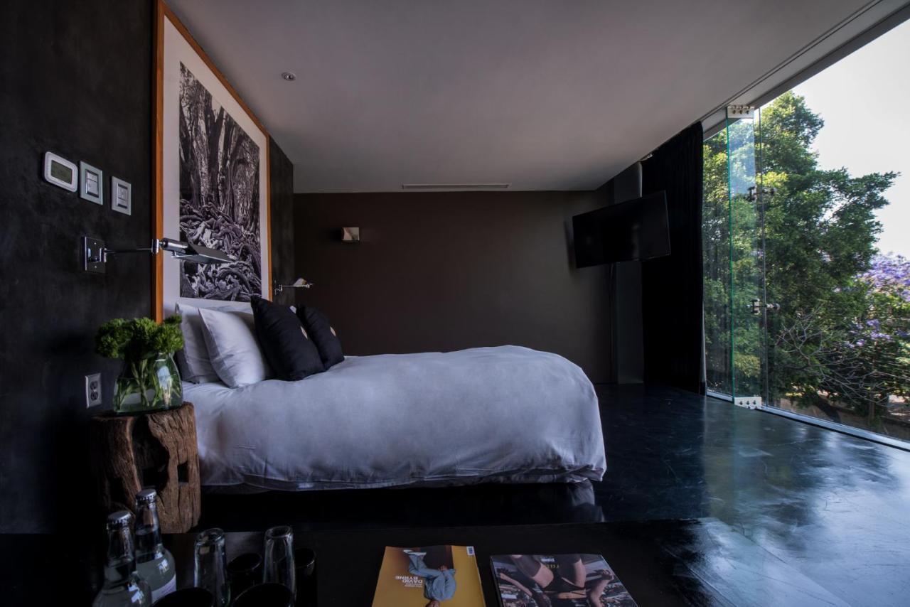 Demetria Hotel Гуадалахара Екстериор снимка