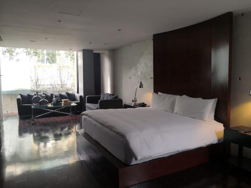 Demetria Hotel Гуадалахара Екстериор снимка